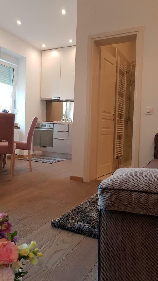Citylux Apartments ซาเกร็บ ภายนอก รูปภาพ